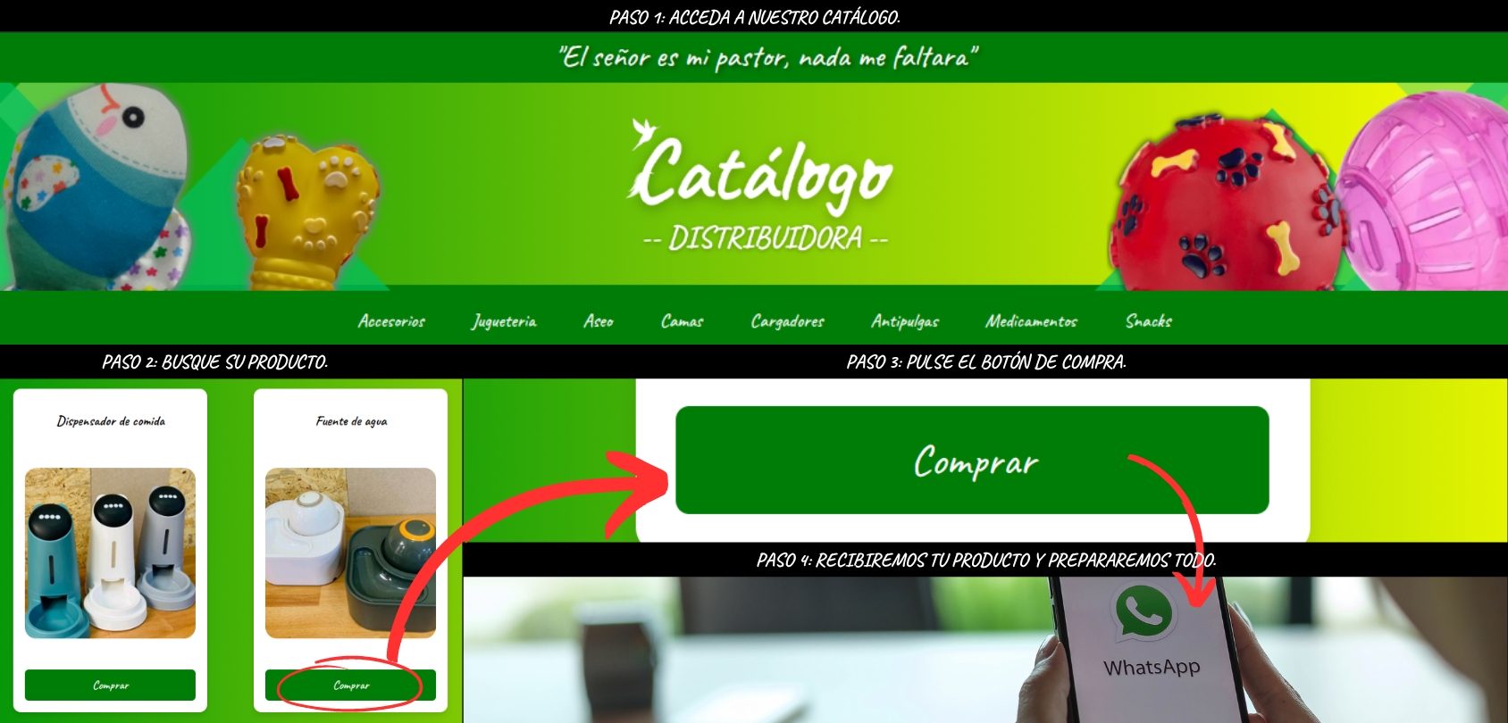 Pasos a Seguir
