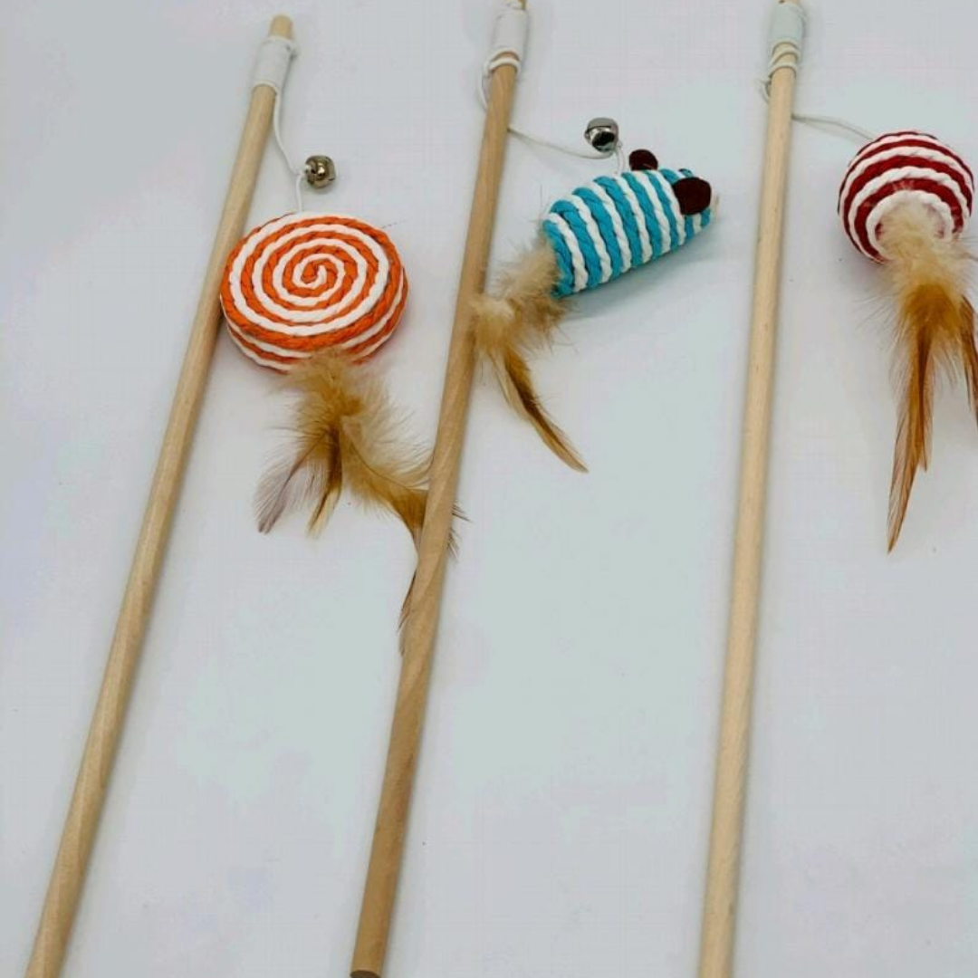 mascotas-con-estilo-imagen