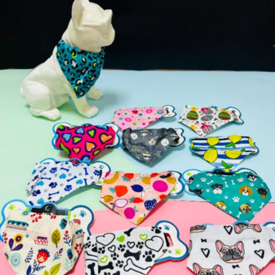 mascotas-con-estilo-imagen