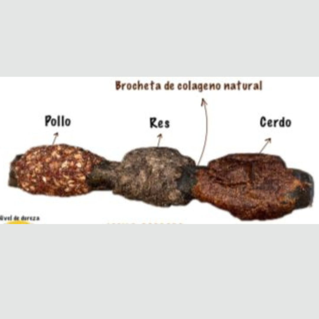 mascotas-con-estilo-imagen